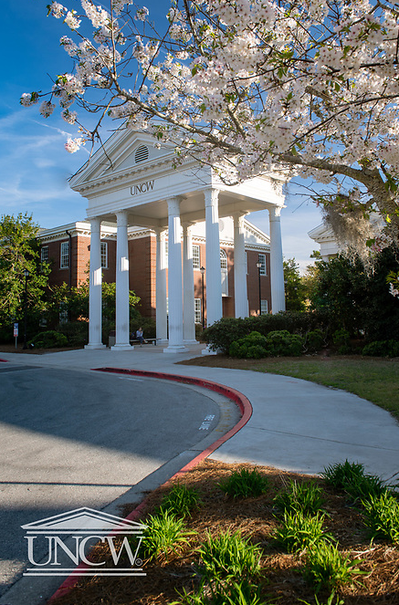 A columned UNCW archway
						behind a blooming tree